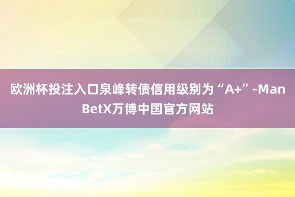 欧洲杯投注入口泉峰转债信用级别为“A+”-ManBetX万博中国官方网站