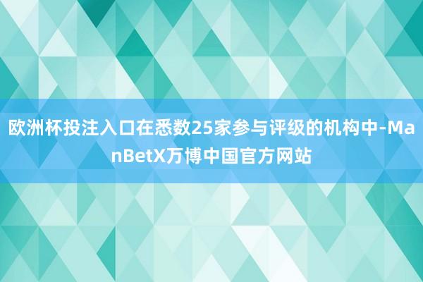 欧洲杯投注入口在悉数25家参与评级的机构中-ManBetX万博中国官方网站