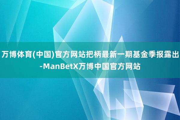 万博体育(中国)官方网站把柄最新一期基金季报露出-ManBetX万博中国官方网站