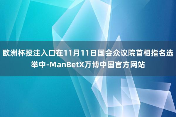 欧洲杯投注入口在11月11日国会众议院首相指名选举中-ManBetX万博中国官方网站