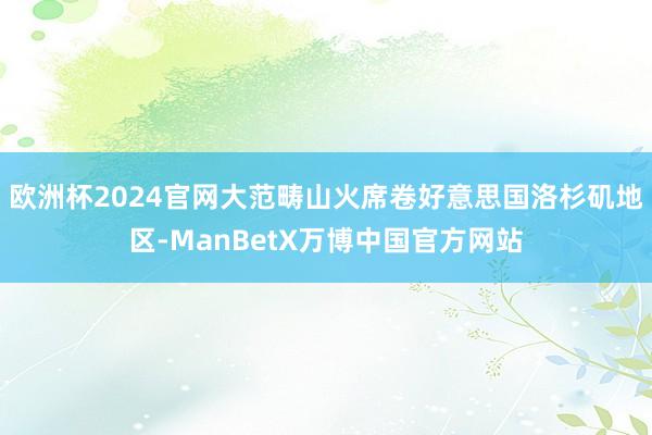 欧洲杯2024官网大范畴山火席卷好意思国洛杉矶地区-ManBetX万博中国官方网站